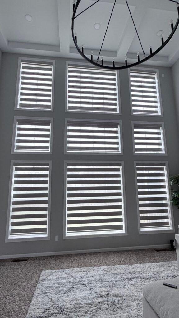 Motorized with Solar Charging